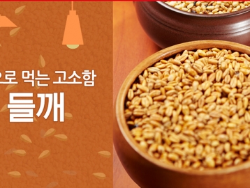 향으로 먹는 고소함, 들깨