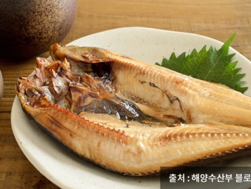 살이 올라 가장 맛이 좋은 3월 수산물 2가지
