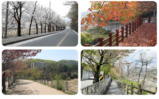 수동시니어타운 이미지 8